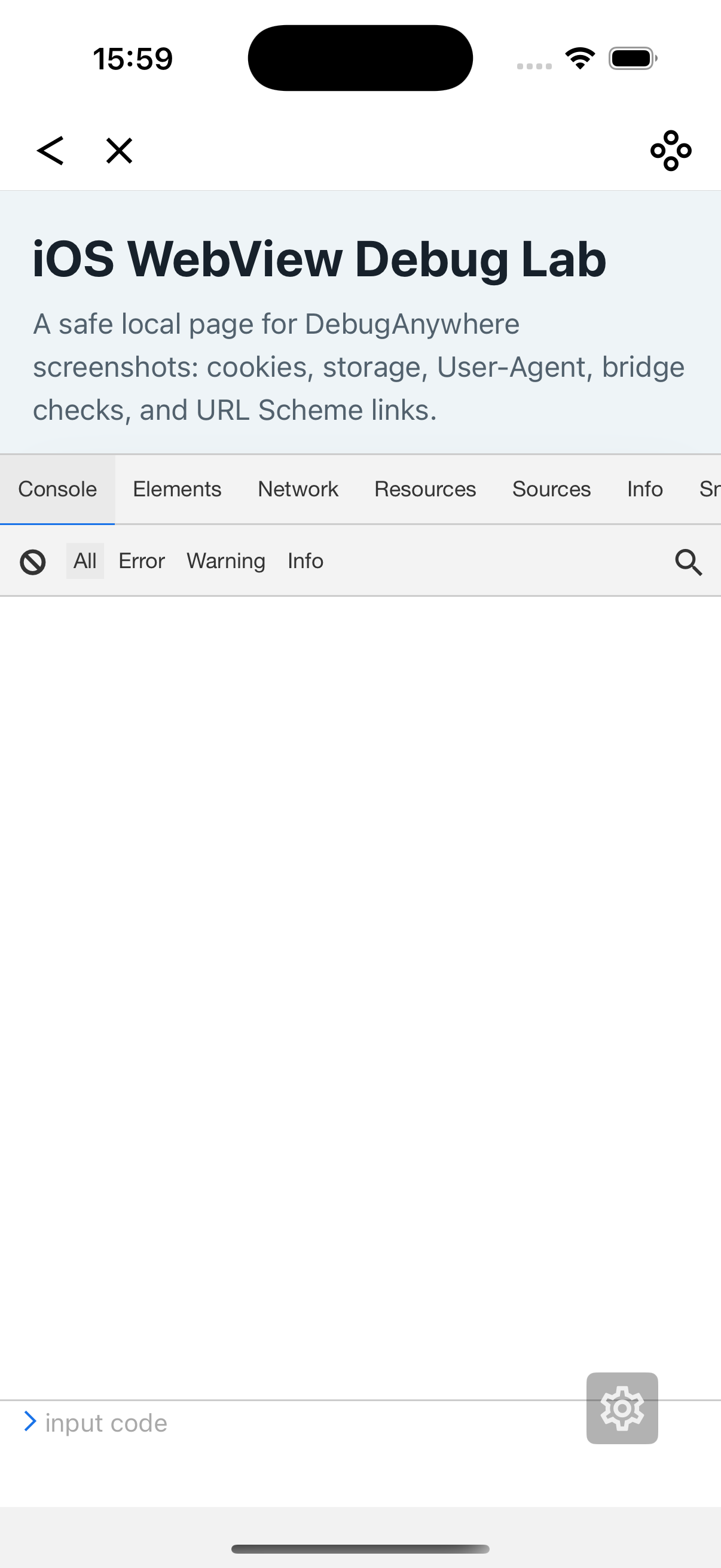 DebugAnywhere home screen with UserAgent and Scripts environment entry