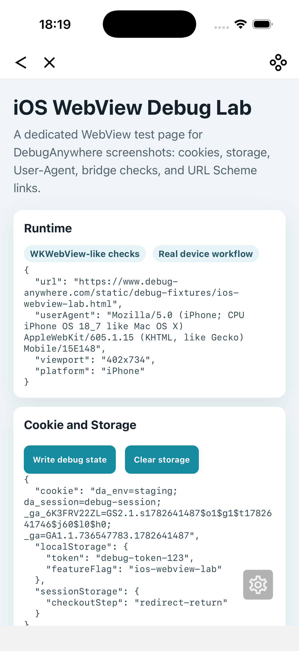 DebugAnywhere WebView lab page with runtime state on iPhone